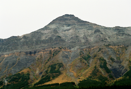 [In the center of the image is a mountain peak which is well above the tree line. In appears half of this mountain is above the tree line since the upper half is all shade of grey. There are some trees in the middle and many more at the lower levels.]